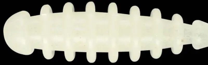 Силикон Jackall Peke Ring 2.0&rdquo; Tantan Ami Glow (10шт/уп) 16993298 фото