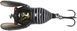 Воблер Savage Gear 3D Cicada F 33mm 3.5g Black 1285346 фото 1