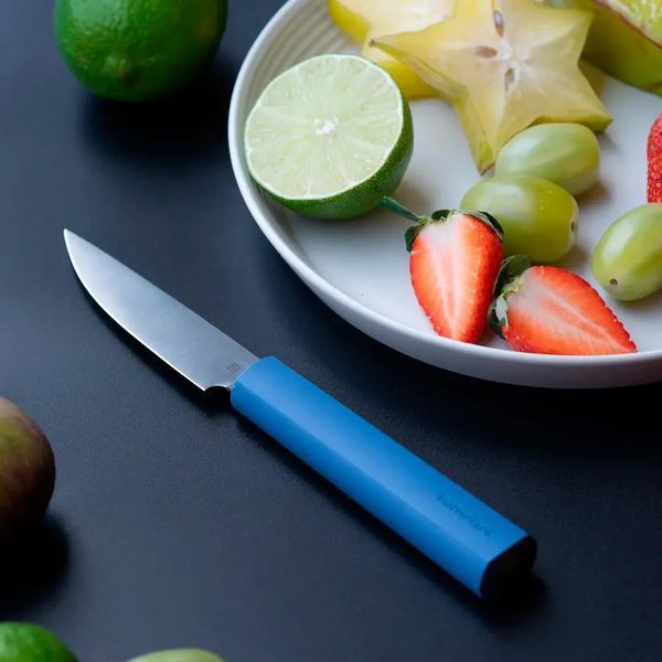 Нож кухонный Butterfork Paring Knife AR-RPM9 ABS Blue 19905961 фото
