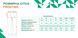 Термоштани Frontier Taxus S merino Forest green 2424243 фото 5
