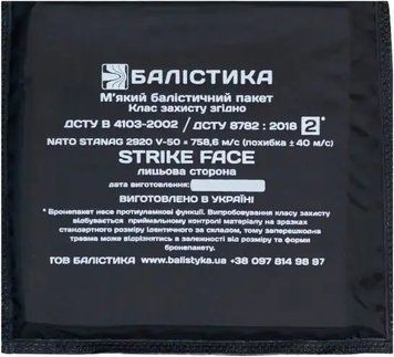 Баллистический пакет Балістика 15х15 2 класс защиты (НВМПЕ) 903413 фото